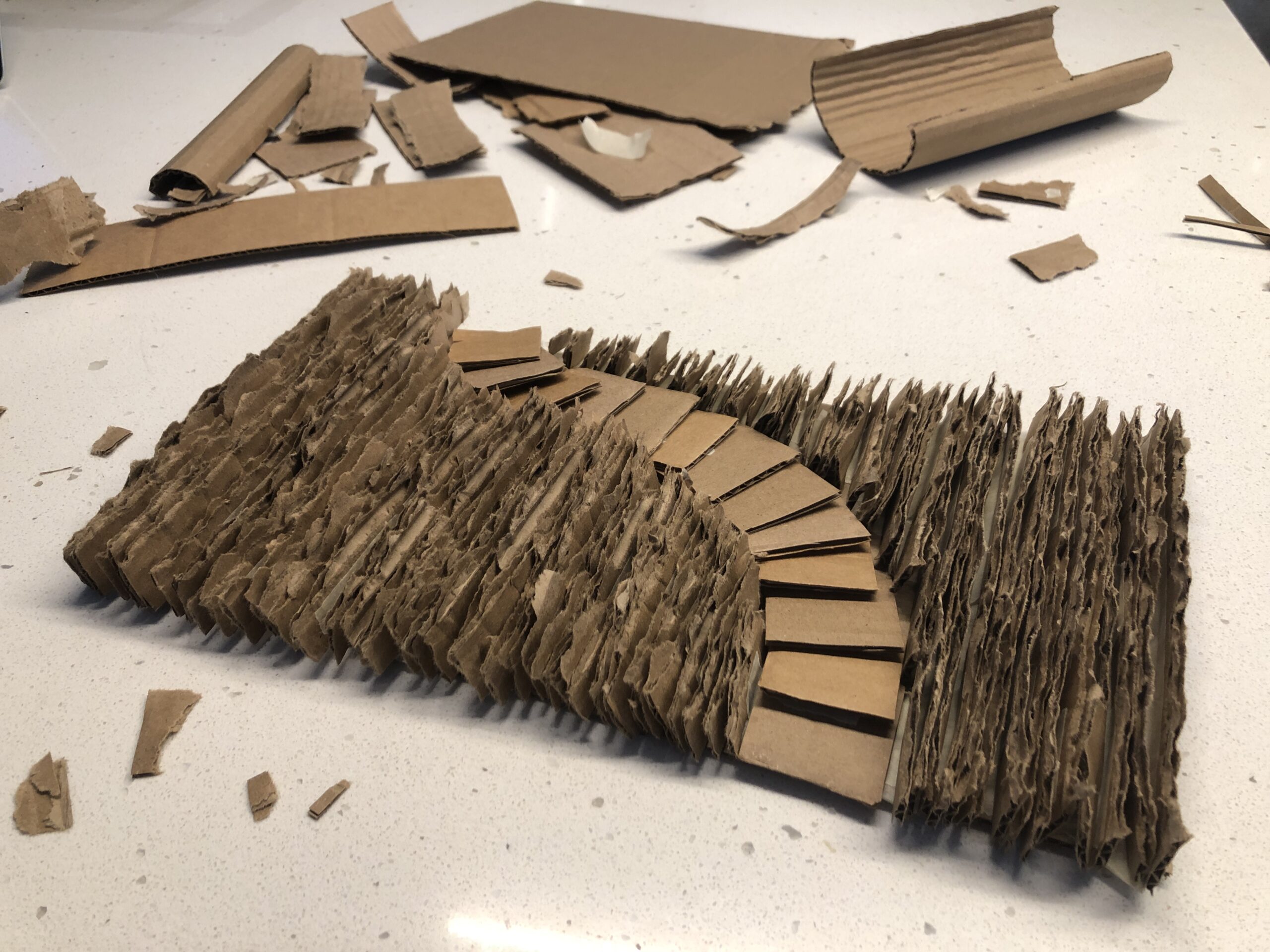 Cardboard Landscape Inspired by the Work of Carlos Bunga Museum of