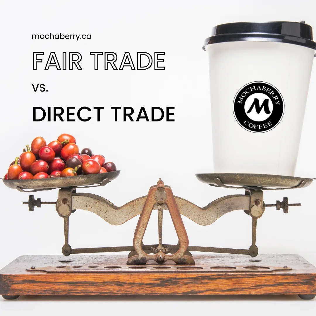 Fair Trade vs Direct Trade Coffee Mochaberry Coffee & Co Ltd. Cafe