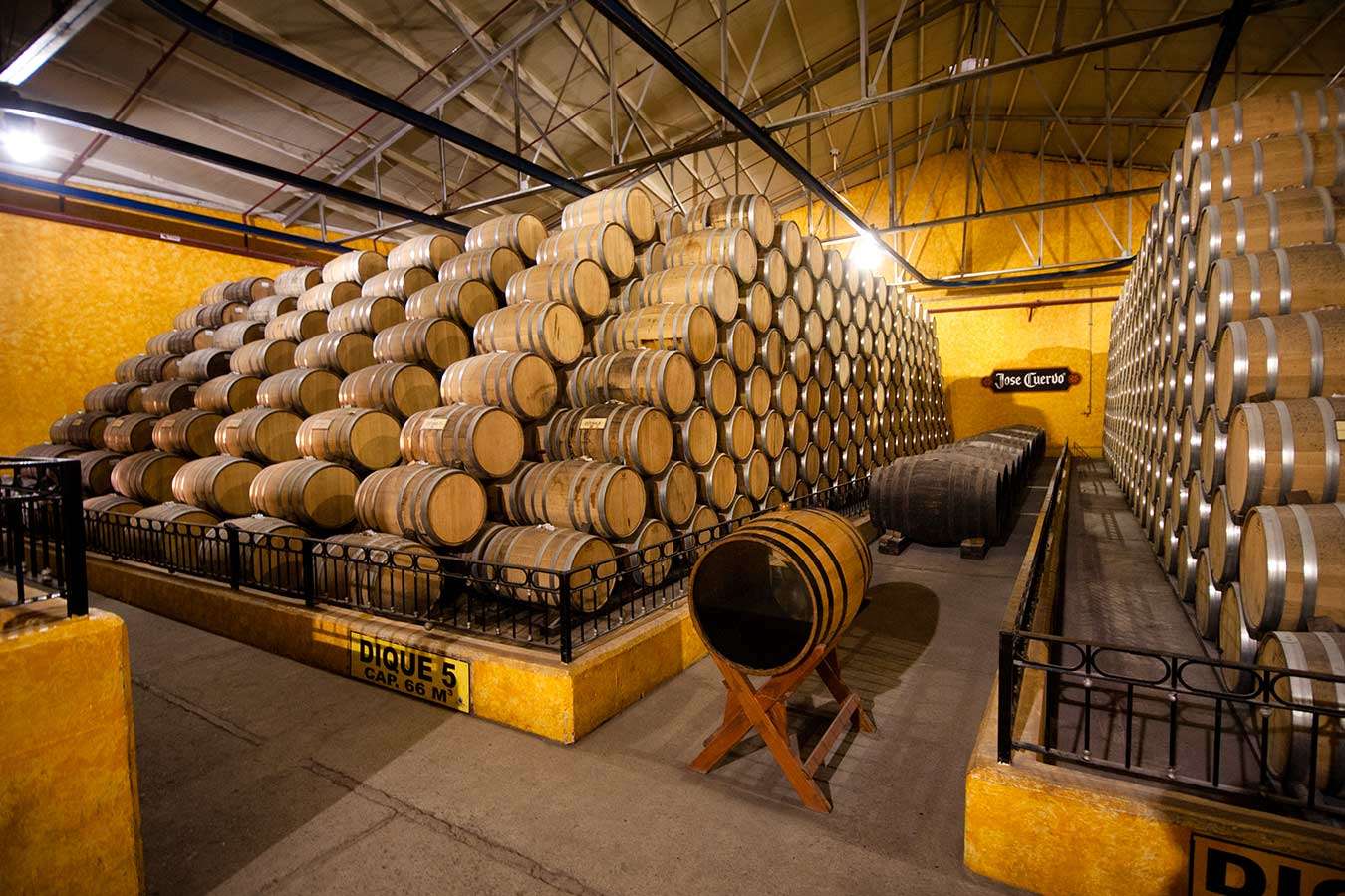 Cómo llegar a Tequila desde Guadalajara o CDMX precio y guía