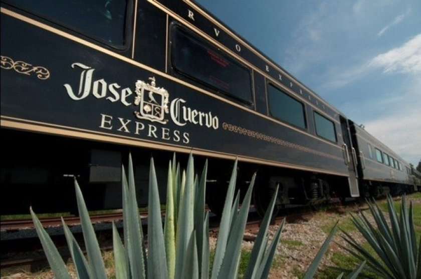 Cómo llegar a Tequila desde Guadalajara o CDMX precio y guía