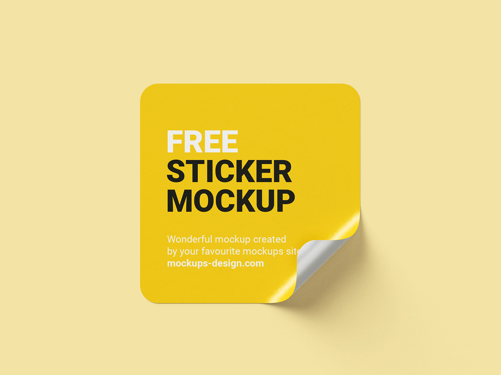 Free square sticker mockup Mockups Design