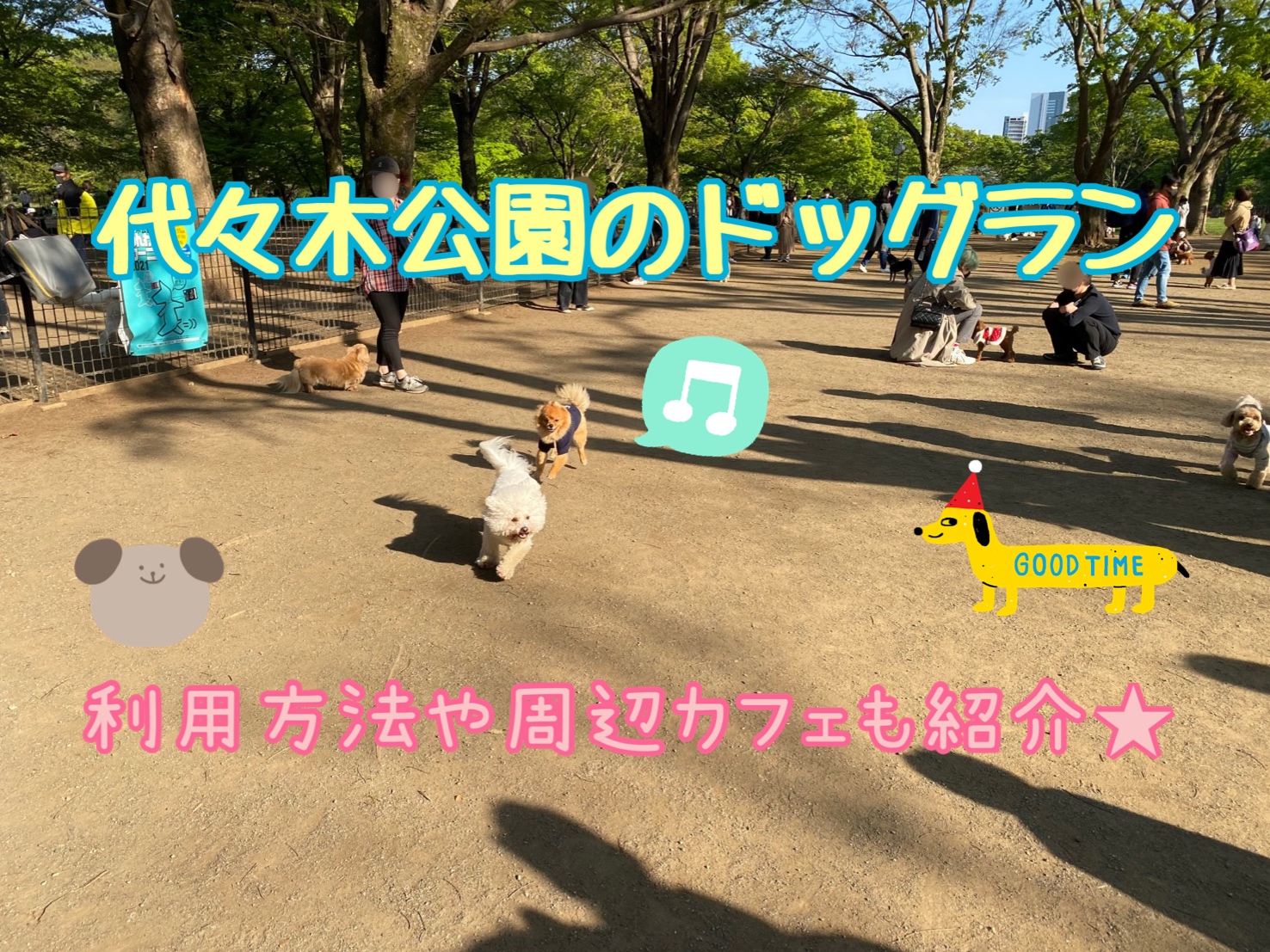 近隣の散策も楽しい！代々木公園ドッグランで愛犬と遊ぼう！登録方法や料金や周辺カフェなども紹介！│モコブログ