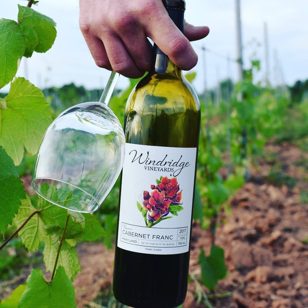 Windridge Vineyards is Now Open The MoCo Show