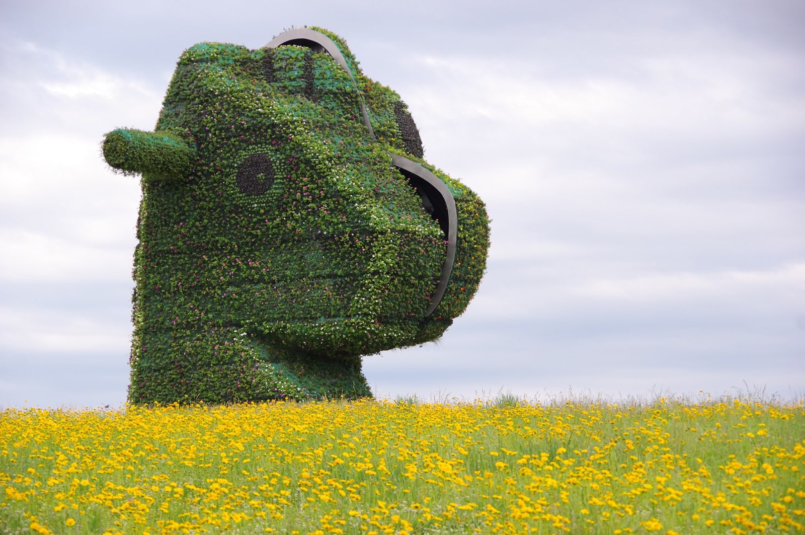 Glenstone Museum has Reopened The MoCo Show