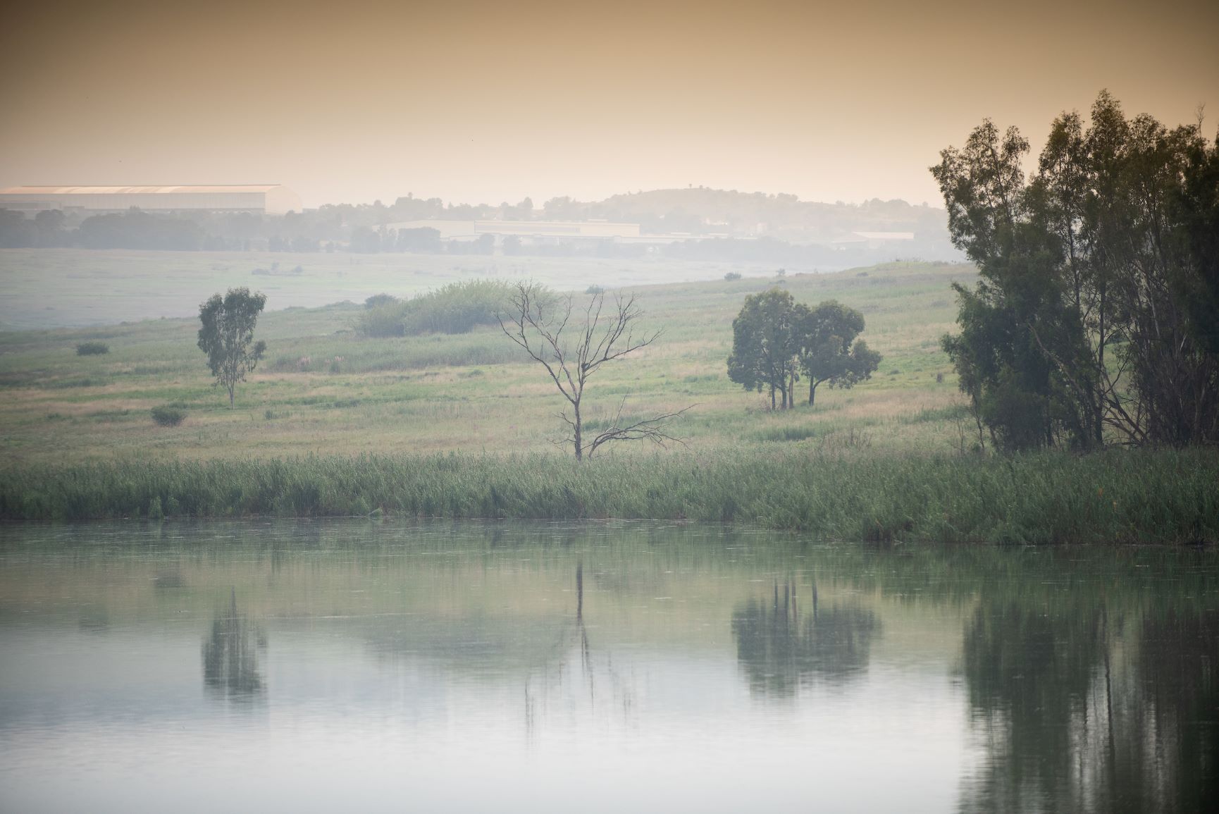 Gallery modderfonteinreserve