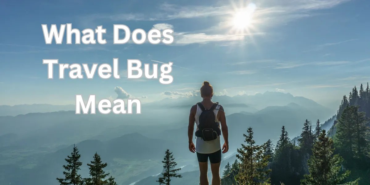 What Does Travel Bug Mean