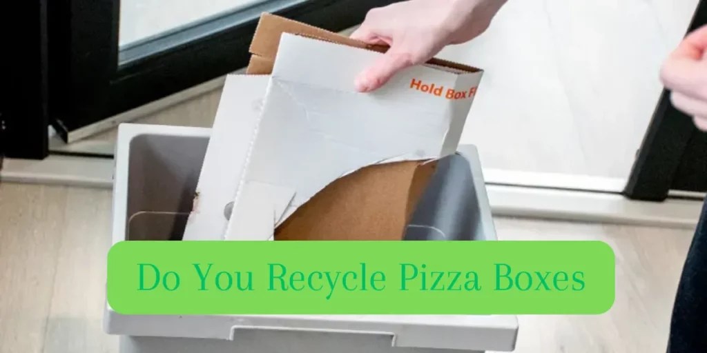 Recycling Pizza Boxes EcoFriendly Practices Pizza Box Disposal