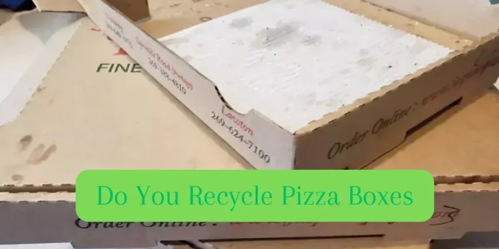 Recycling Pizza Boxes EcoFriendly Practices Pizza Box Disposal