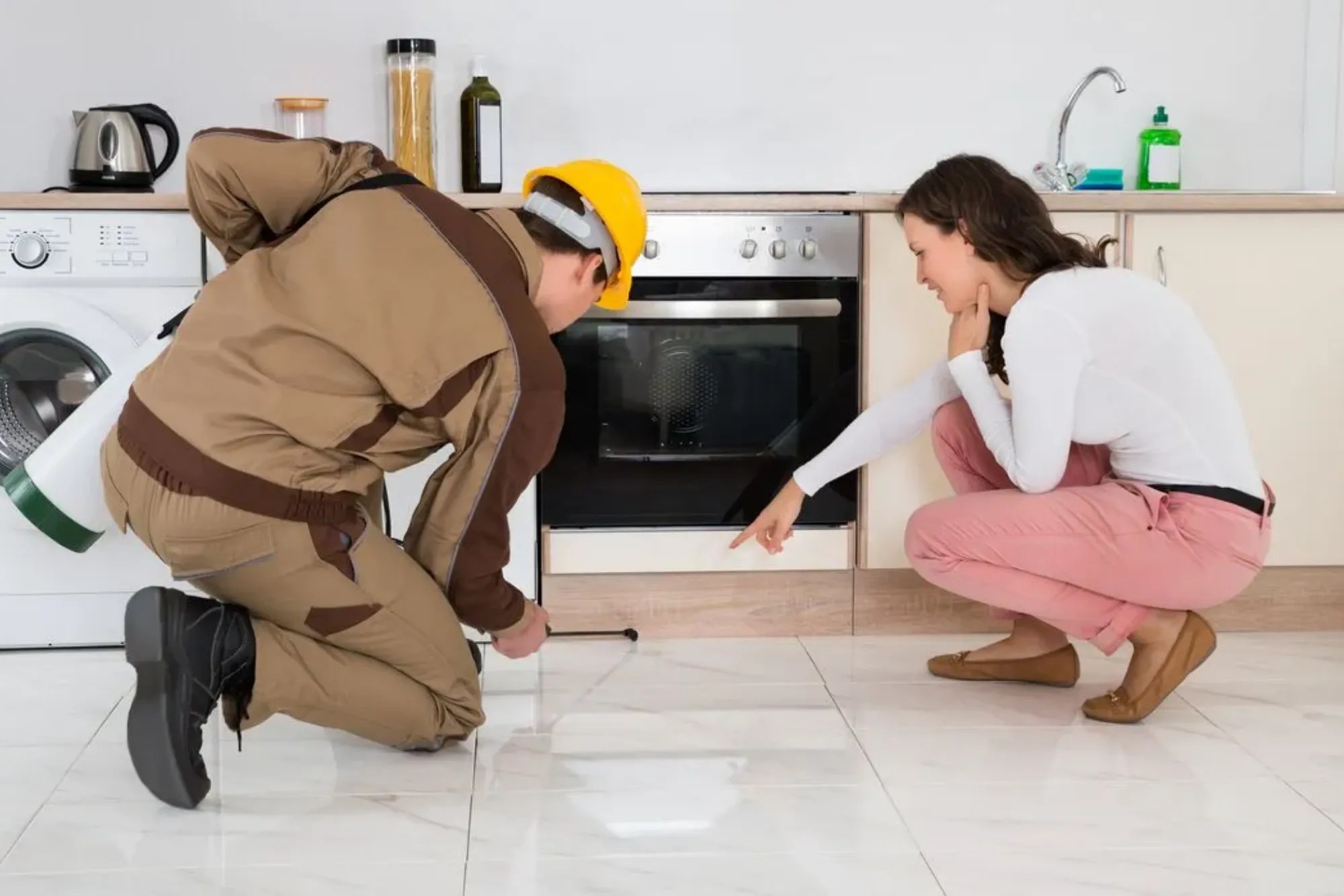 Are Landlords Responsible For Pest Control In Hawaii at Sandra Mason blog