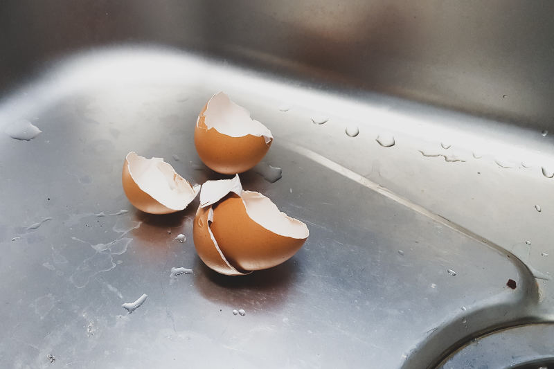 Do Eggshells Sharpen Garbage Disposal Blades? » ModeFab
