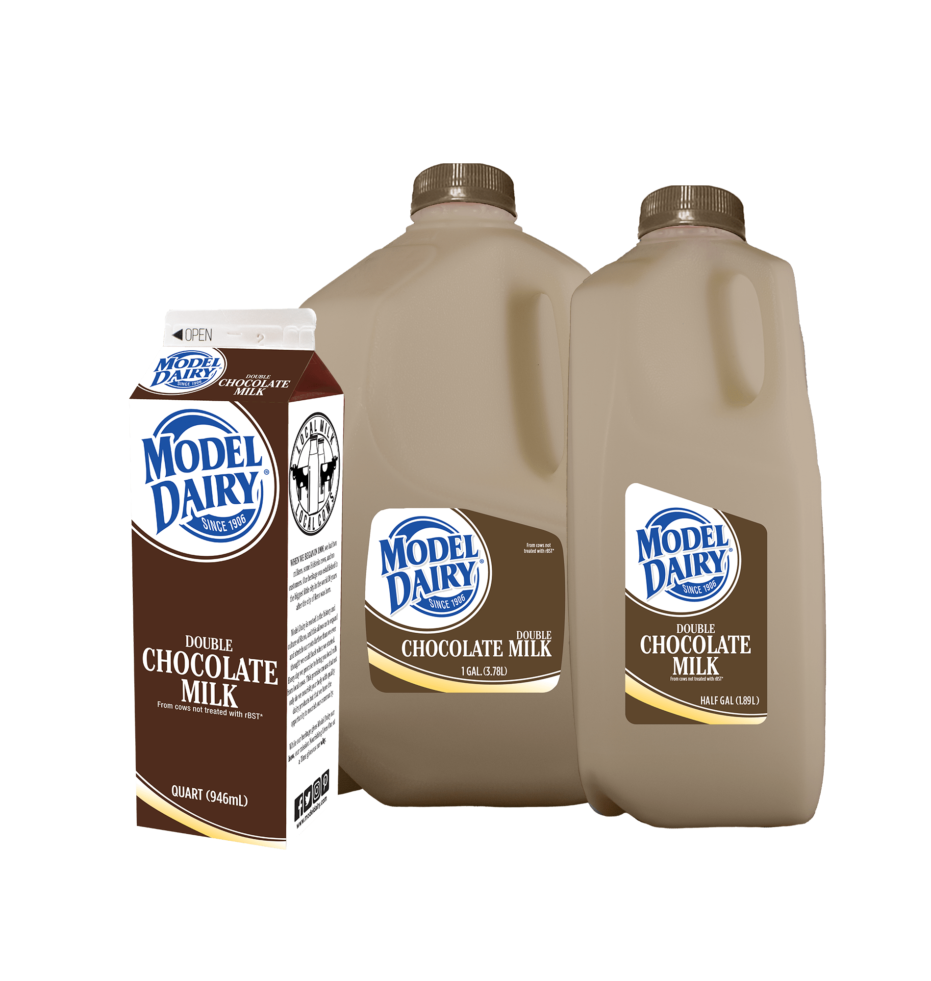 Double Chocolate Milk Model Dairy