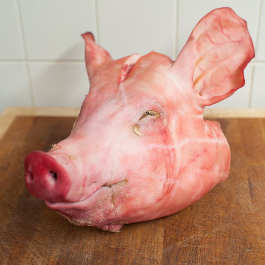 FreeRange Pork Head Model Farm
