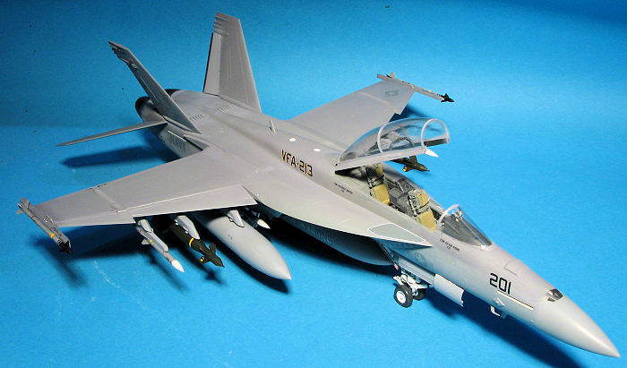 Meng 1/48 F-18F Super Hornet, by Scott Van Aken