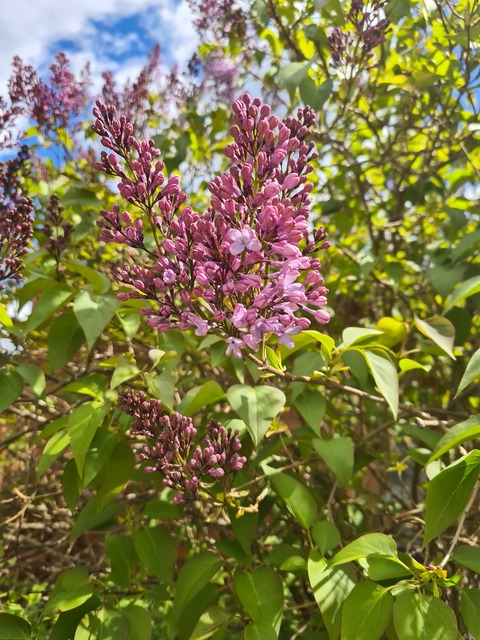 Trending @bbw_cutie leaks Onlyfans photos for free - models-gallery.com