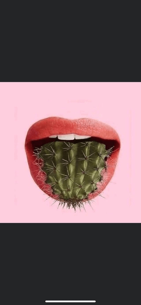 View jennashae (Jenna Shae 💋) OnlyFans 164 Photos and 176 Videos leaked