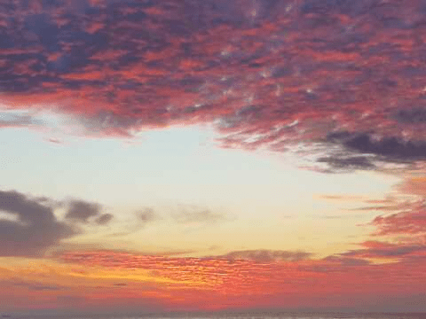 psychedelickitty (Psychedelic Kitty) free OnlyFans Leaked Content