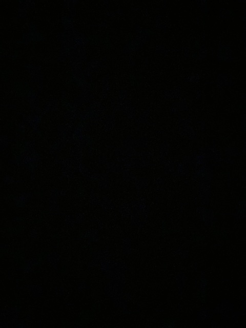 launikavanessa OnlyFans Leaked (106 Photos and 53 Videos) - models-gallery.com