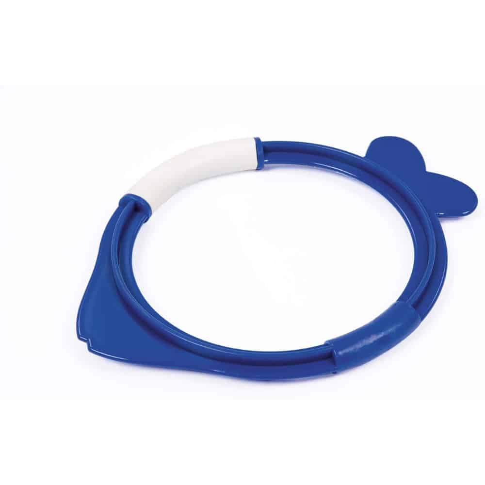 Bestway Hydro Swim Lil 'Fish Dive Rings Diving Ring The Model Shop