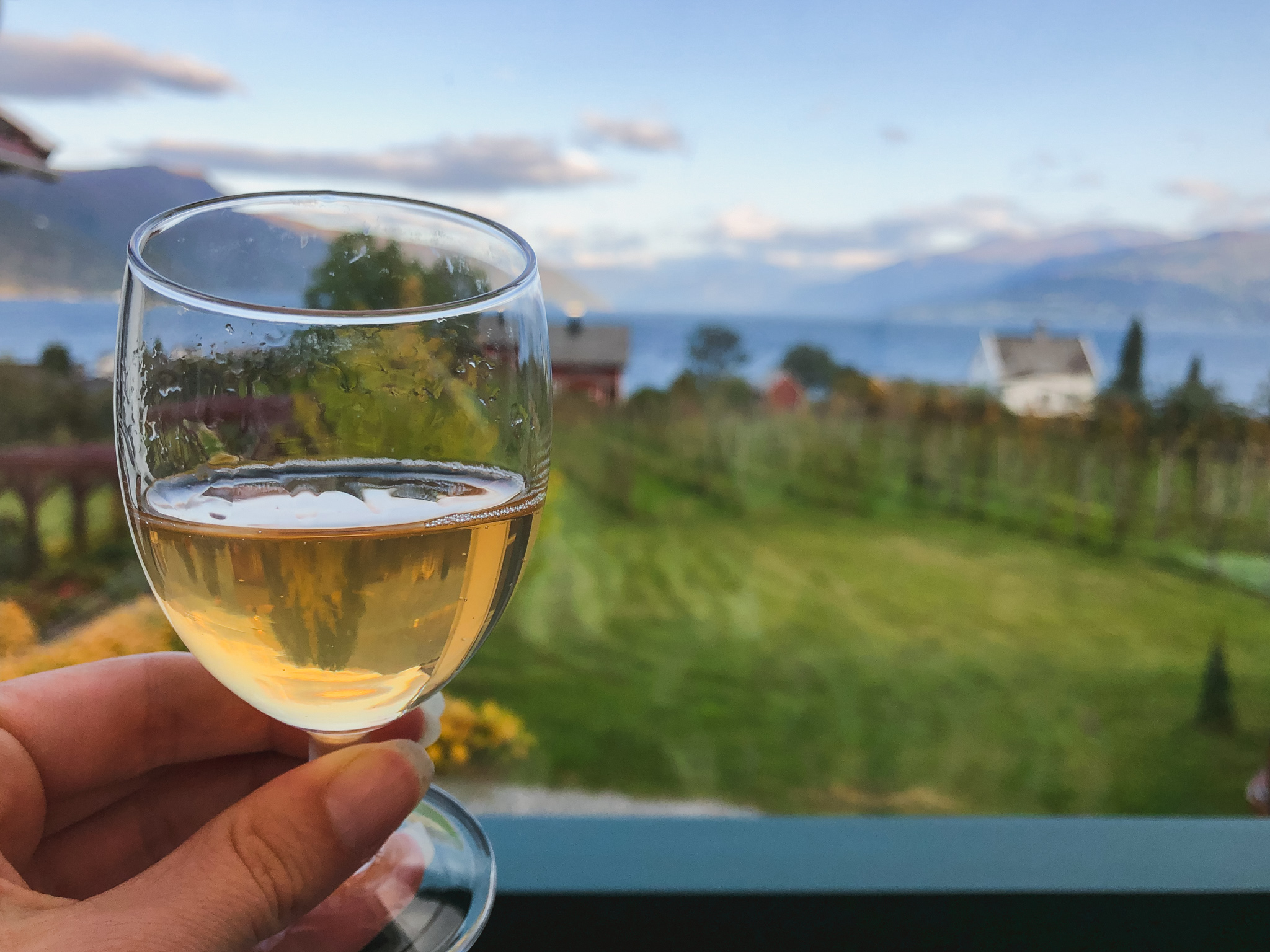 Norway Cider Tasting at Ciderhuset Moderately Adventurous