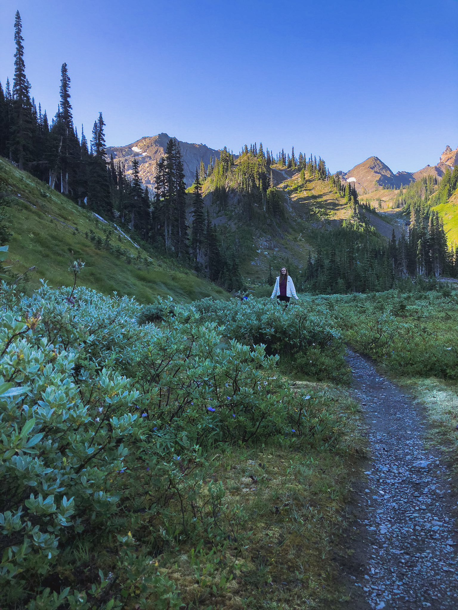 Washington Backpacking Royal Basin in Olympic National Park Moderately Adventurous