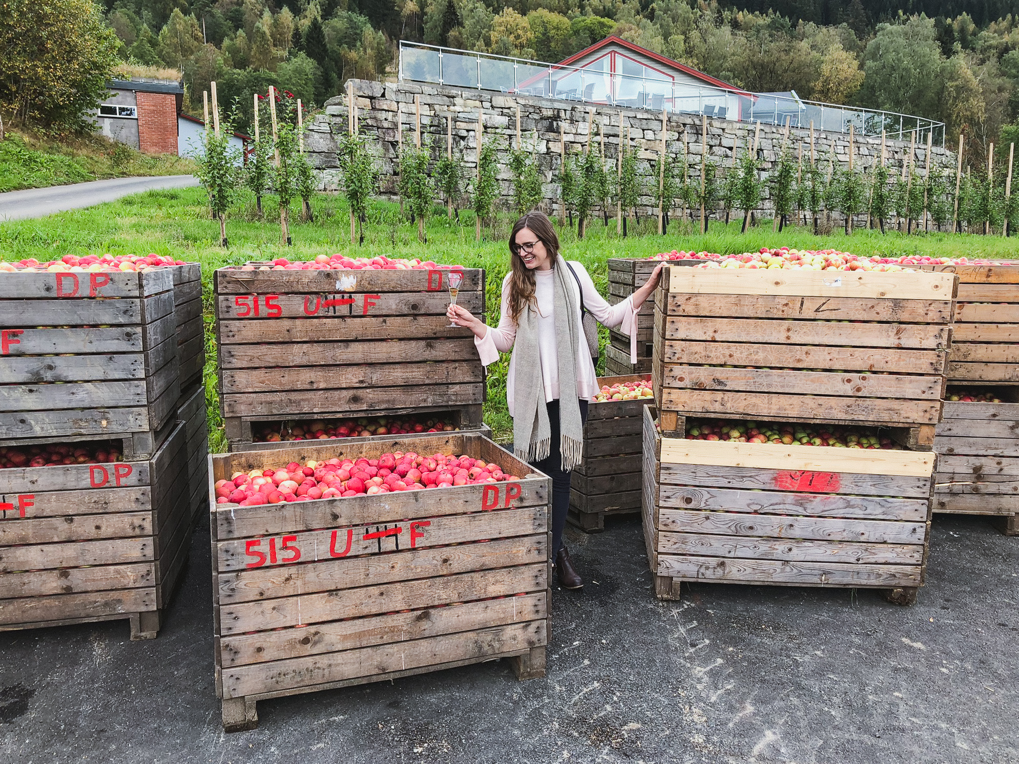 Norway Apple Cider in Ulvik Moderately Adventurous