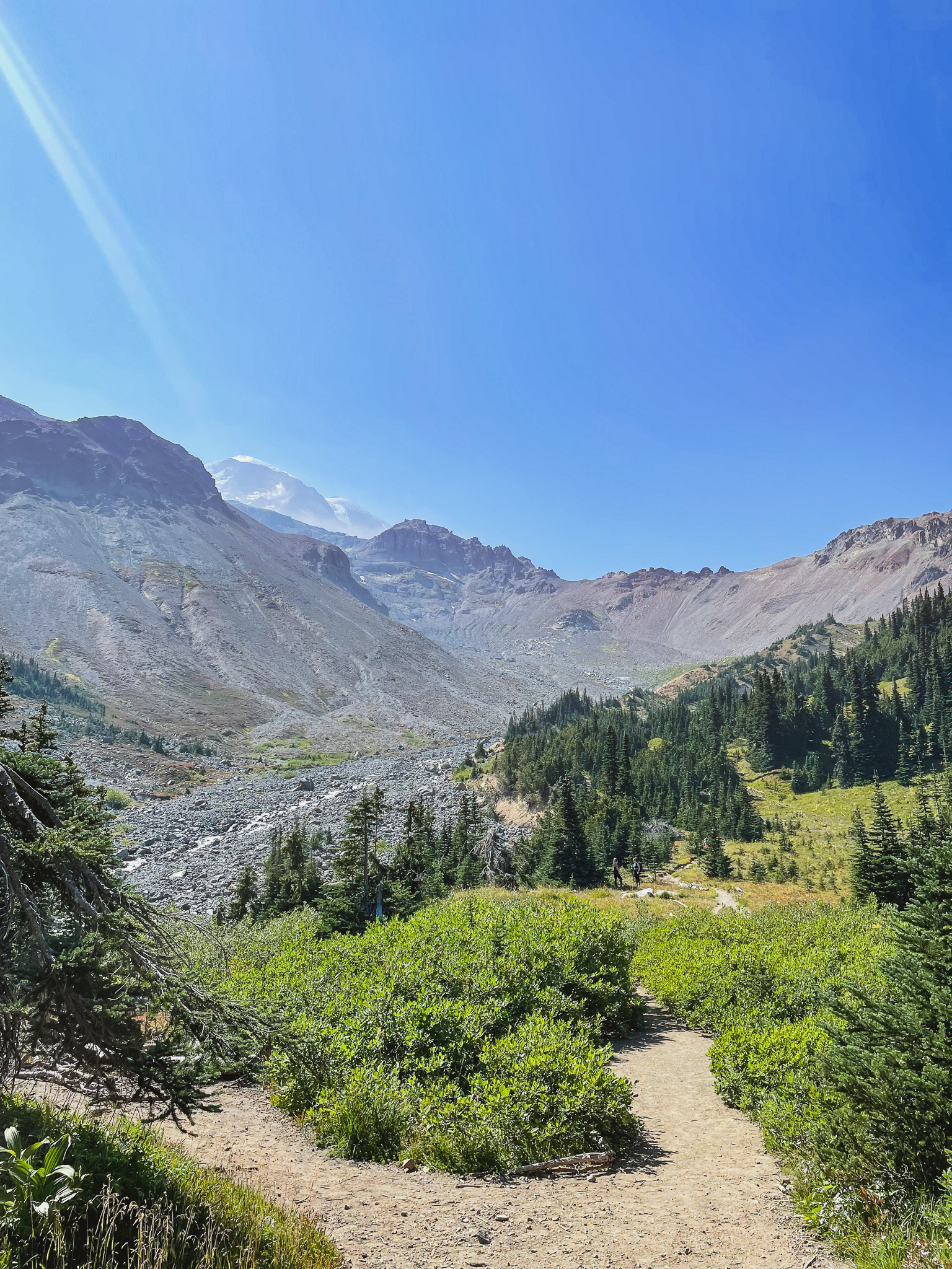 Washington Backpacking to Glacier Basin, Rainier National Park