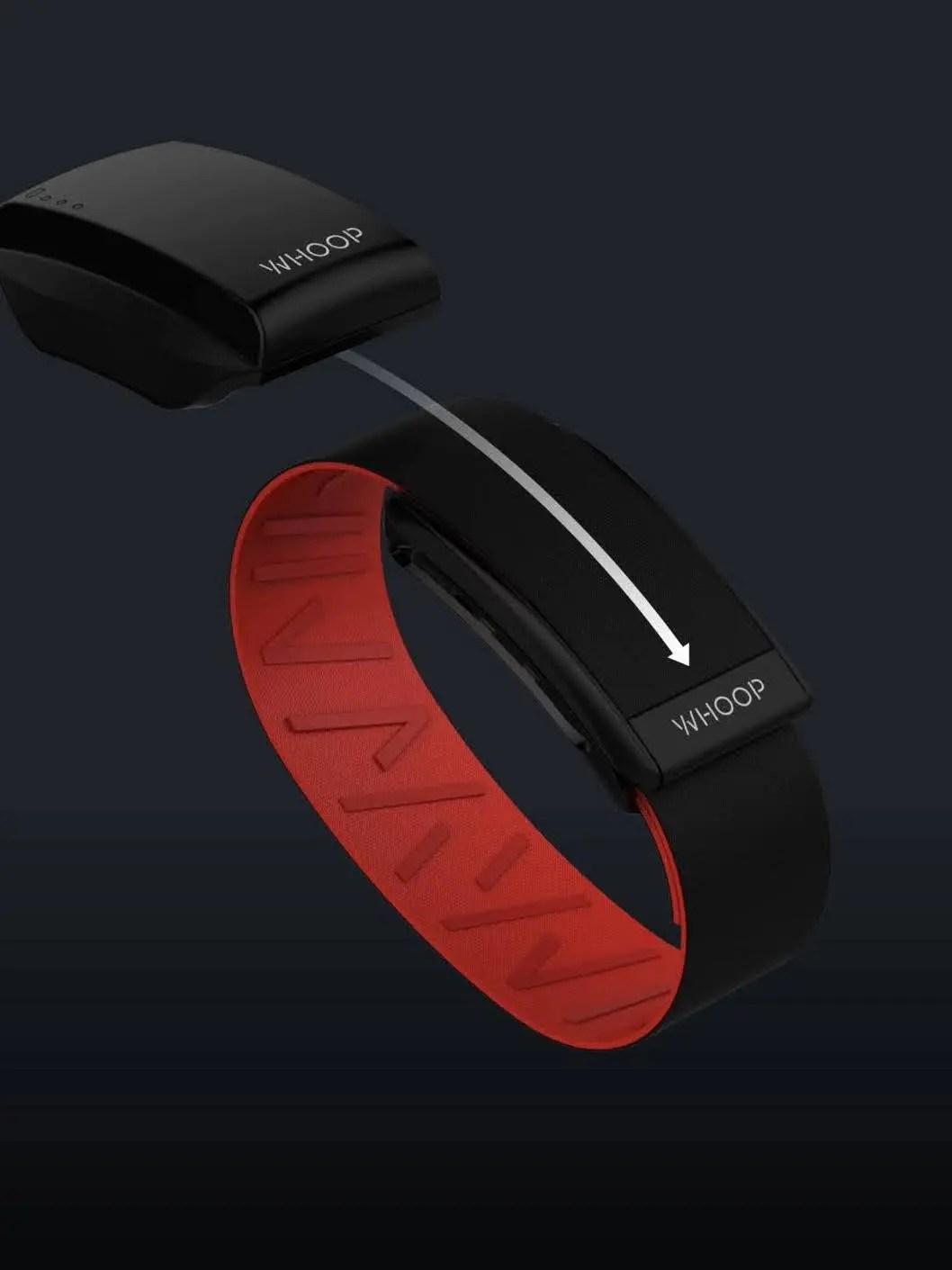 Amazon Halo vs WHOOP Battle of the Bands