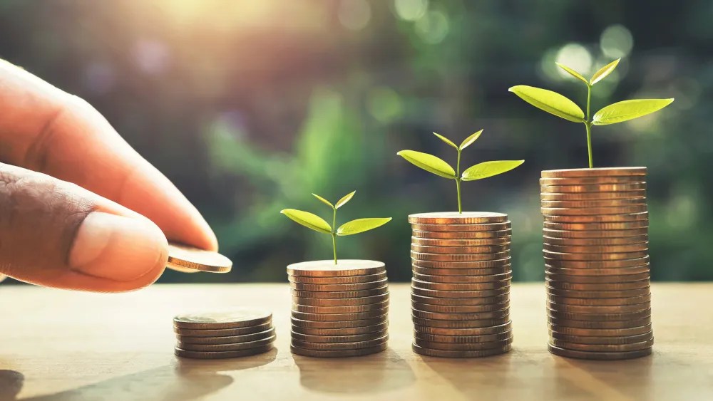 Geld vermehren ohne Risiko? Diese 4 Investments stehen dir zur Auswahl