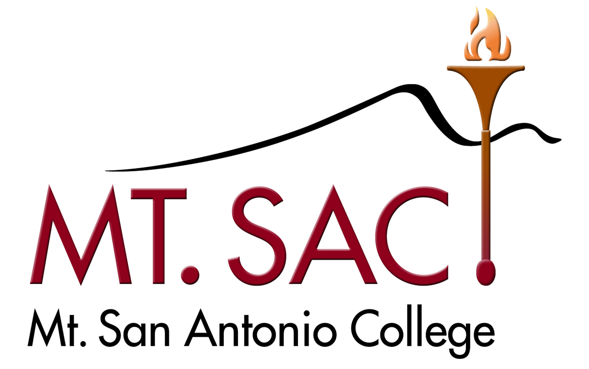  Content Management CMS