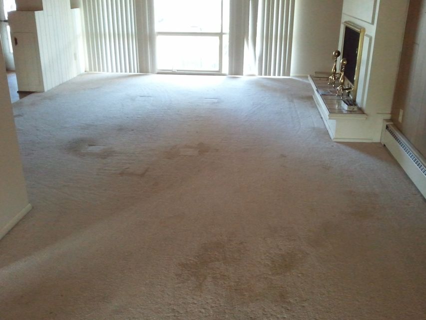 residential pictures Modern Carpet Cleaning Inc