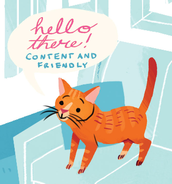 How To Read Your Cat's Body Language Modern Cat