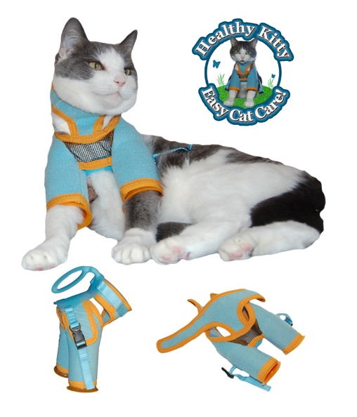 Healthy Kitty Is Making Cat Care Easy! Modern Cat