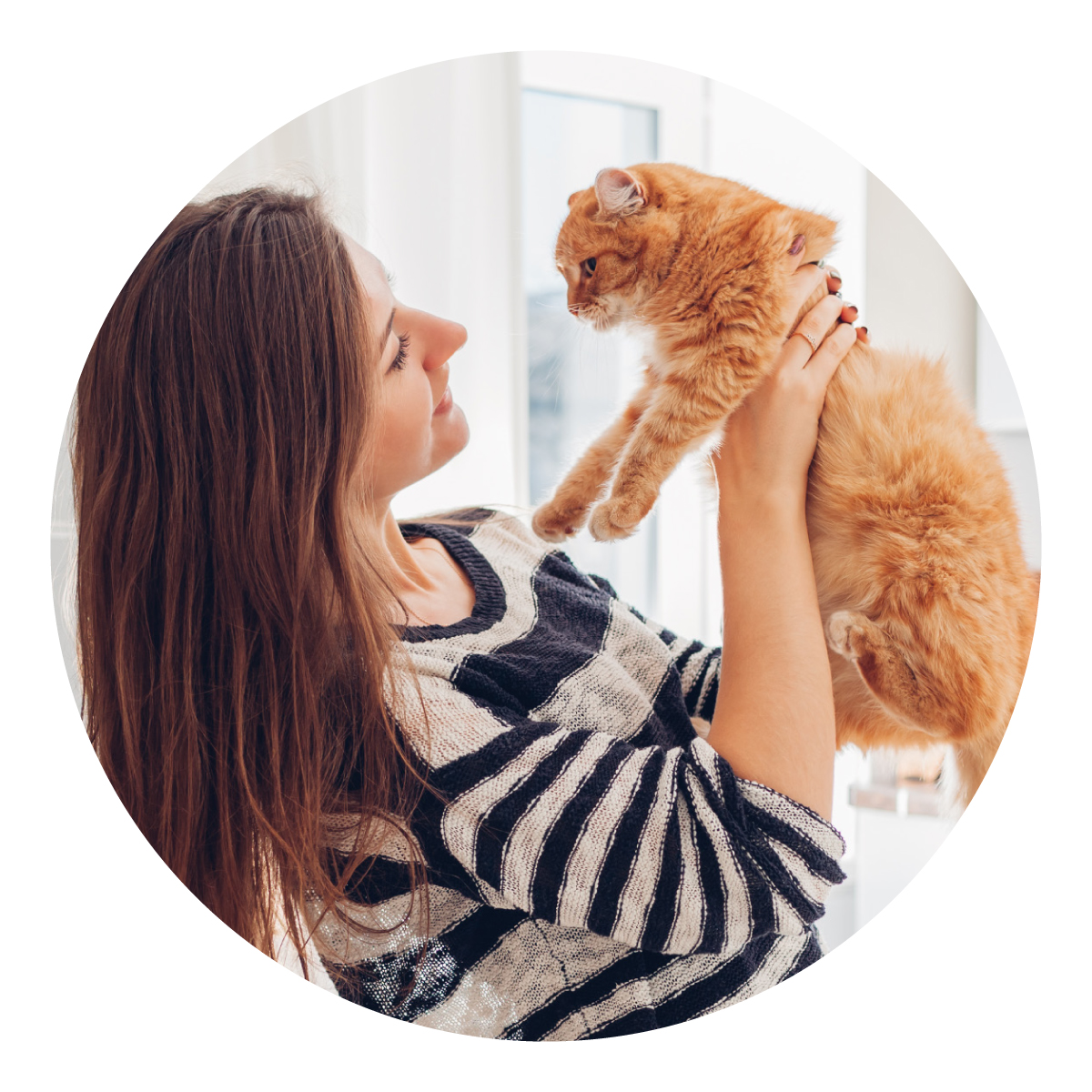 11 Tips For Improving Your Cat's Behaviour Modern Cat
