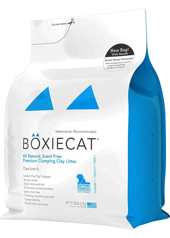 The Best Cat Litters of 2021 Modern Cat