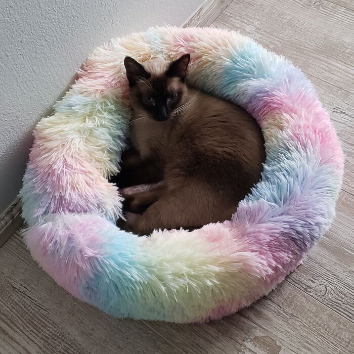 Marshmallow Cat Bed Modern Cat