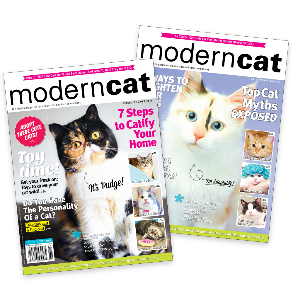 Modern Cat Magazine Subscription Modern Cat