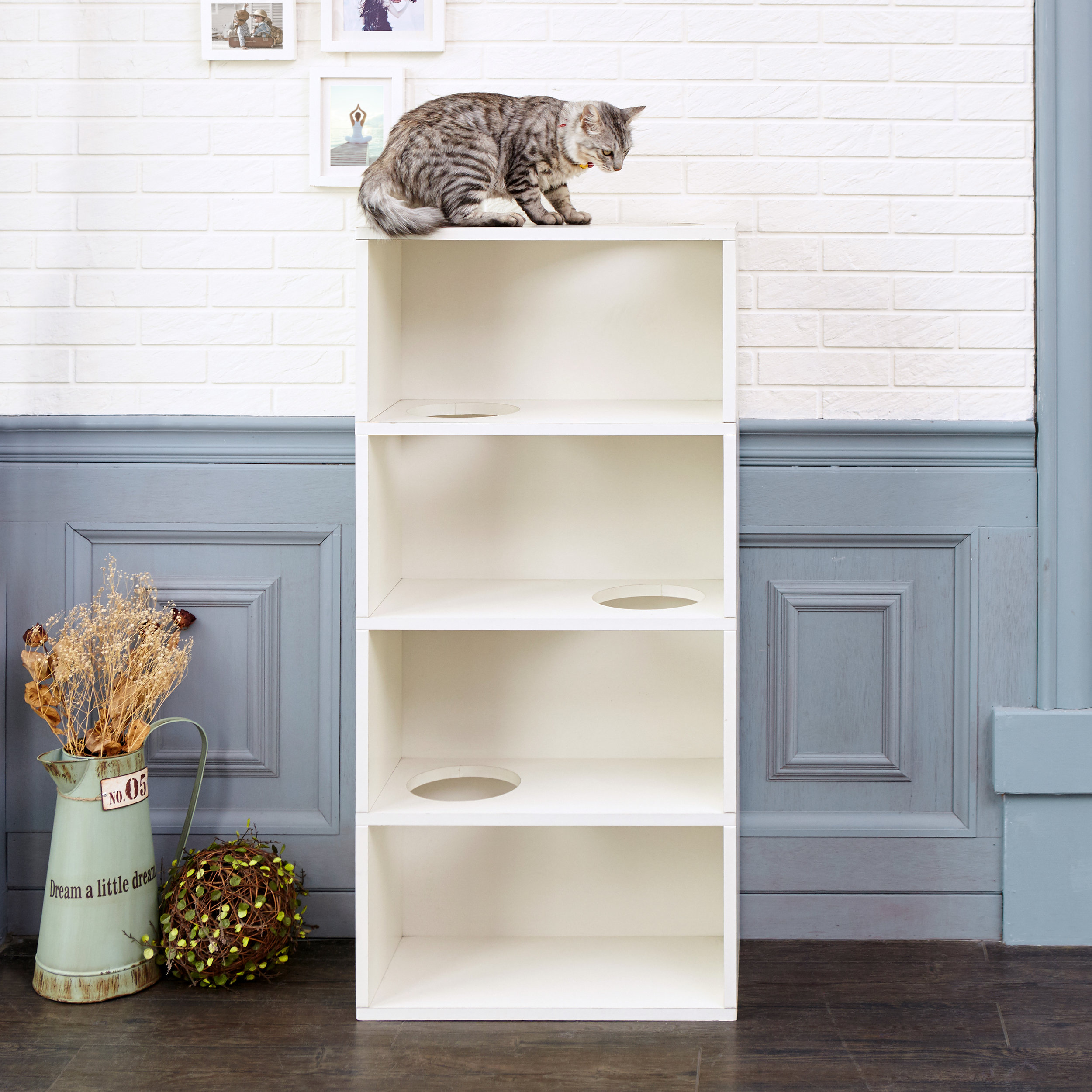 Cat Jumping Bookcase Modern Cat