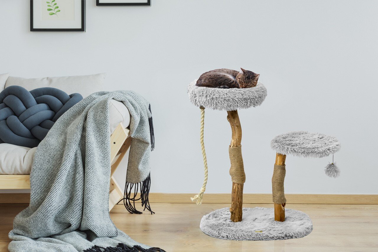 Mau Lifestyle Cat Tree Free Return gbupresnenskij.ru