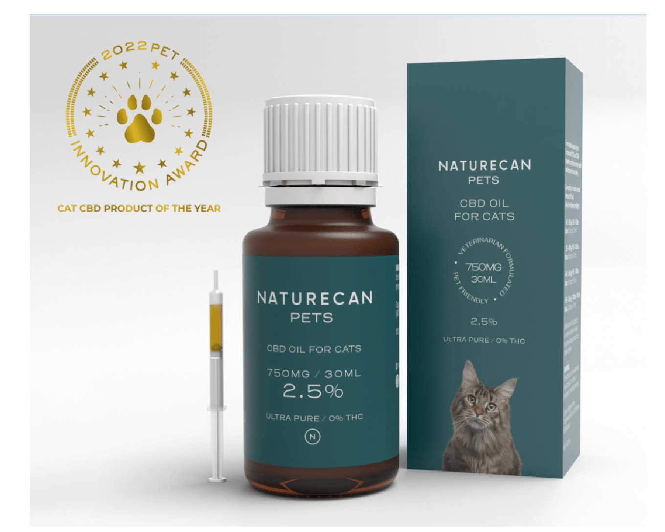 CBD Oil for Cats Modern Cat