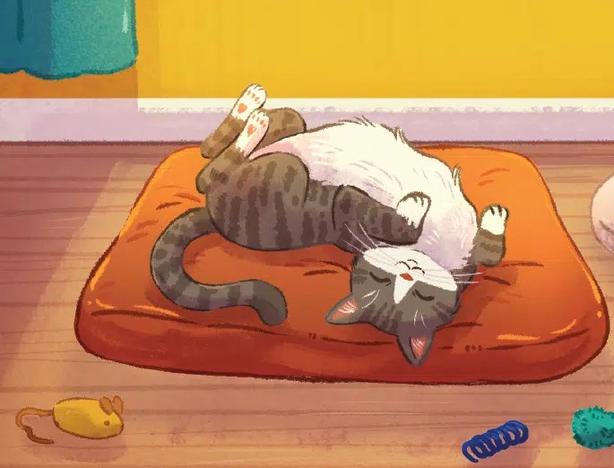 What Your Cat's Sleeping Position Means An Illustrated Guide Modern Cat