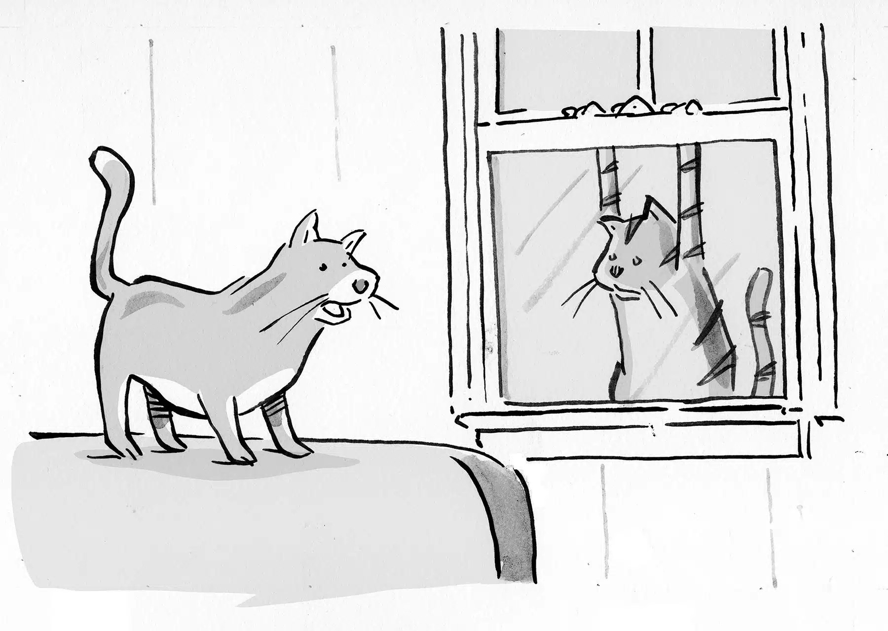 Cartoon Caption Contest Modern Cat