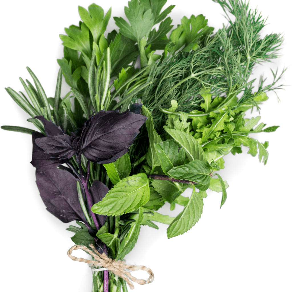 Master the Art of Persian Cooking Modern Empty Nester