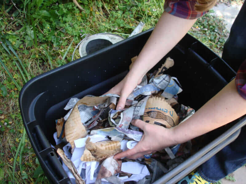 Making A Worm Farm For Fishing Amazadesign