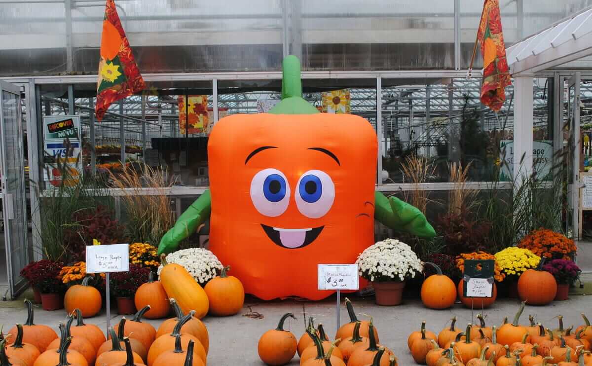Spookley the Square Pumpkin Here to Stop Bullying and Save Agritourism