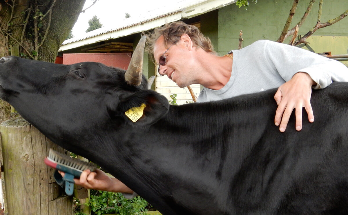 SlaughterFree Milk Will Customers Pay More to Put Cows Out to Pasture