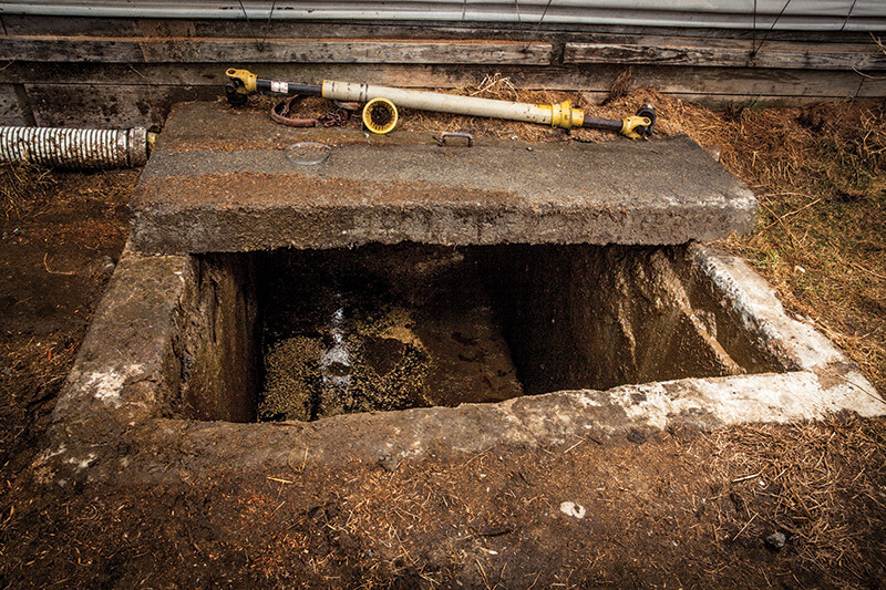 Death on the Farm Modern Farmer