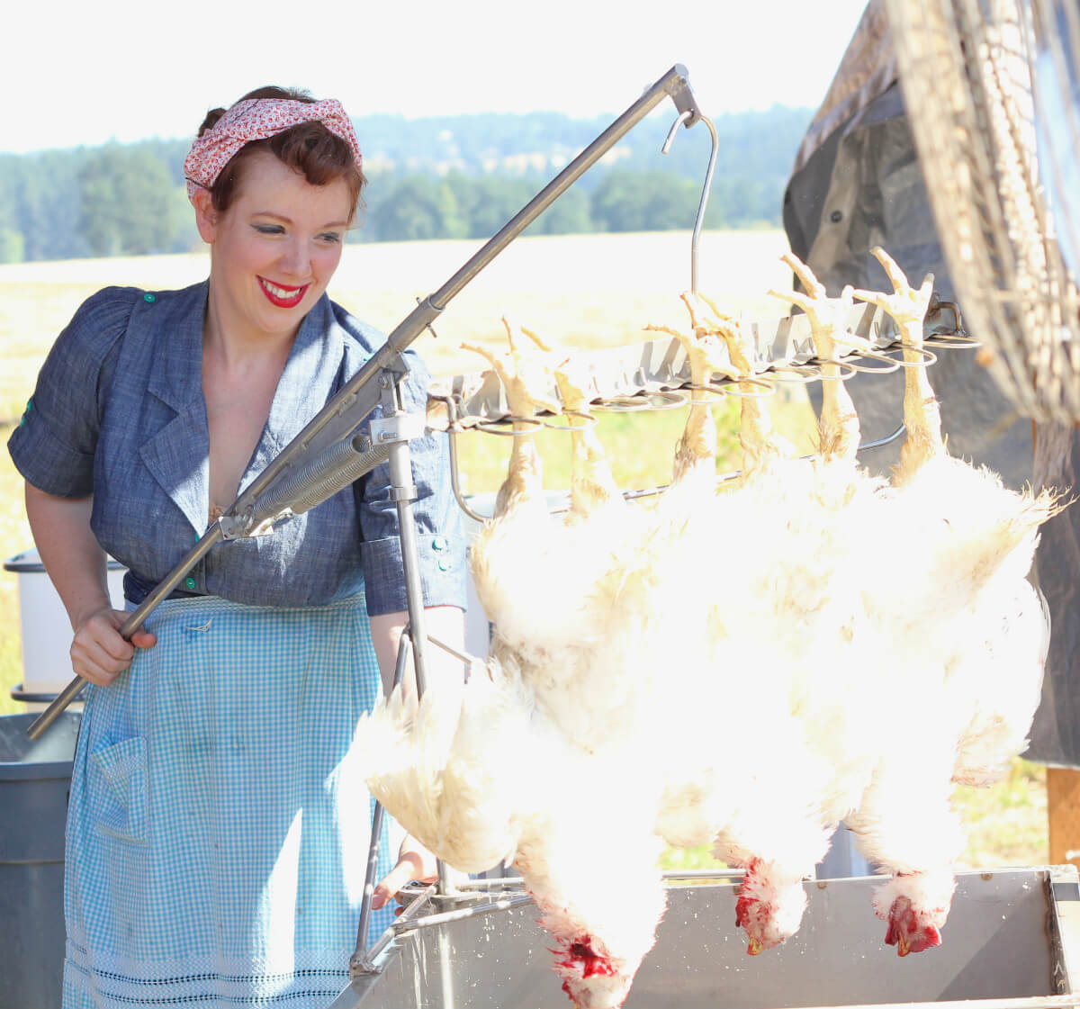 Painting the Farm Red The ChickenSlaughtering Pinup Girls of Marion