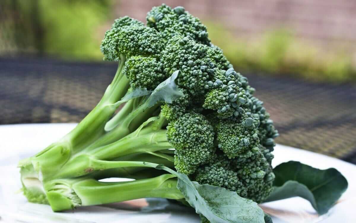 Could A Treatment For Autism Be Found In...Broccoli? Modern Farmer