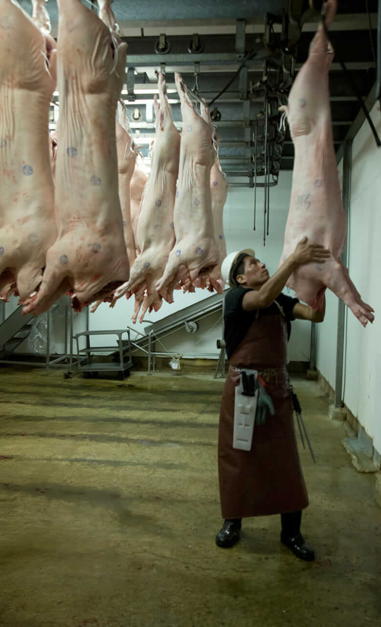Scenes From the Slaughterhouse Modern Farmer