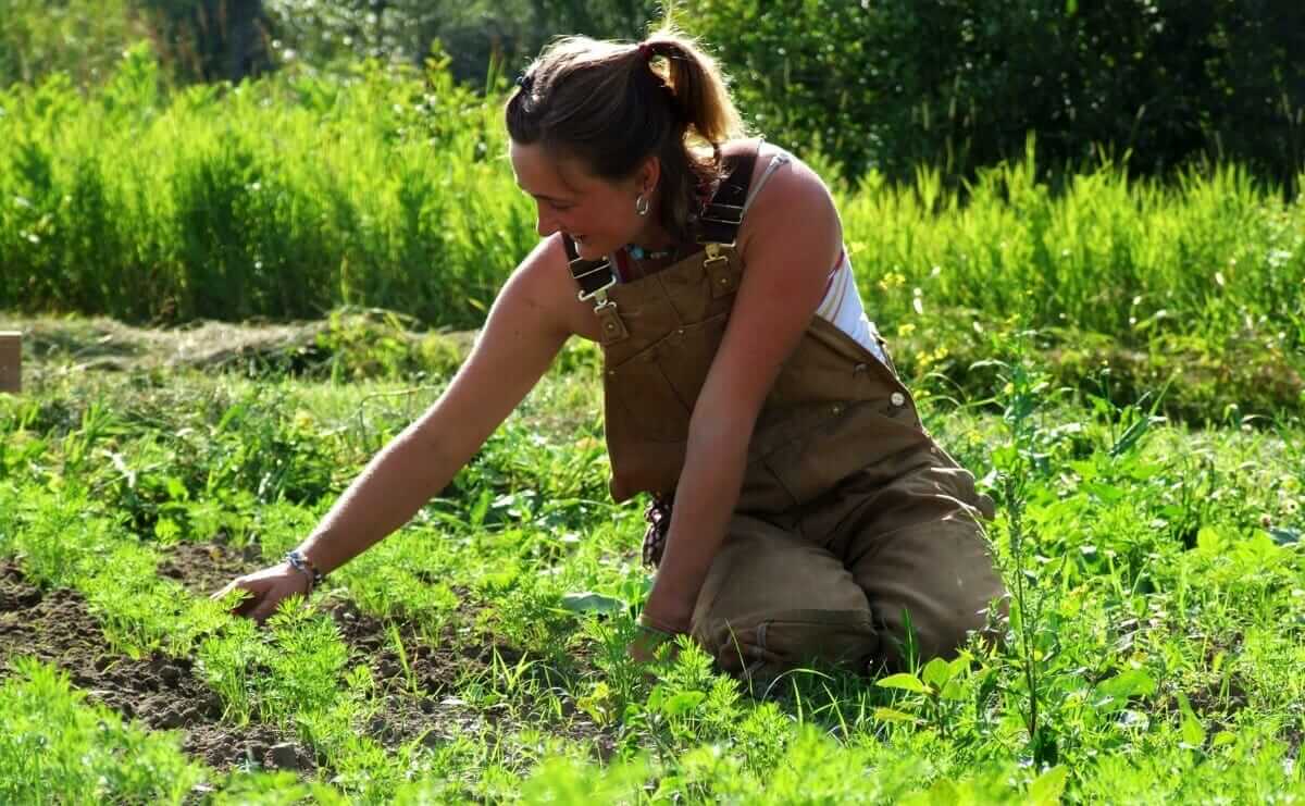 Want A Job After College? Study Agriculture Modern Farmer